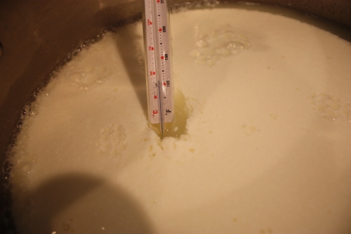 THe milk is now at the correct temperature and the curds are ready to be scooped from the whey